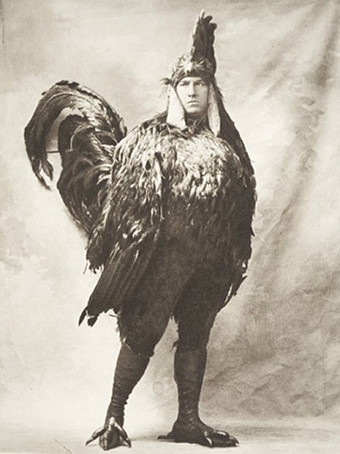 Et kylling kostume