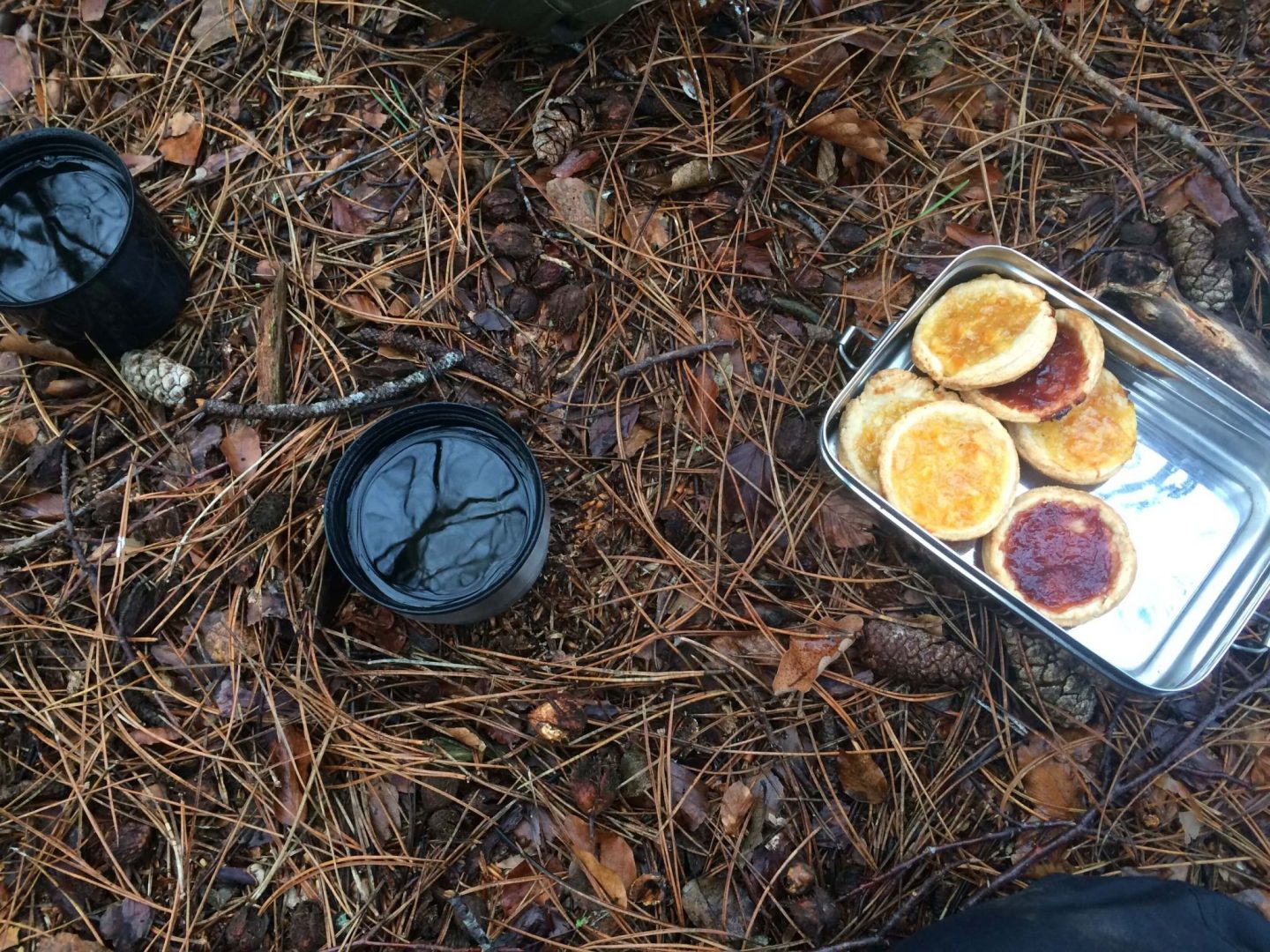 Nytår i skoven. Billede af skovbunden vi lå i, og hvor vi drak kaffe og spiste jam tarts.