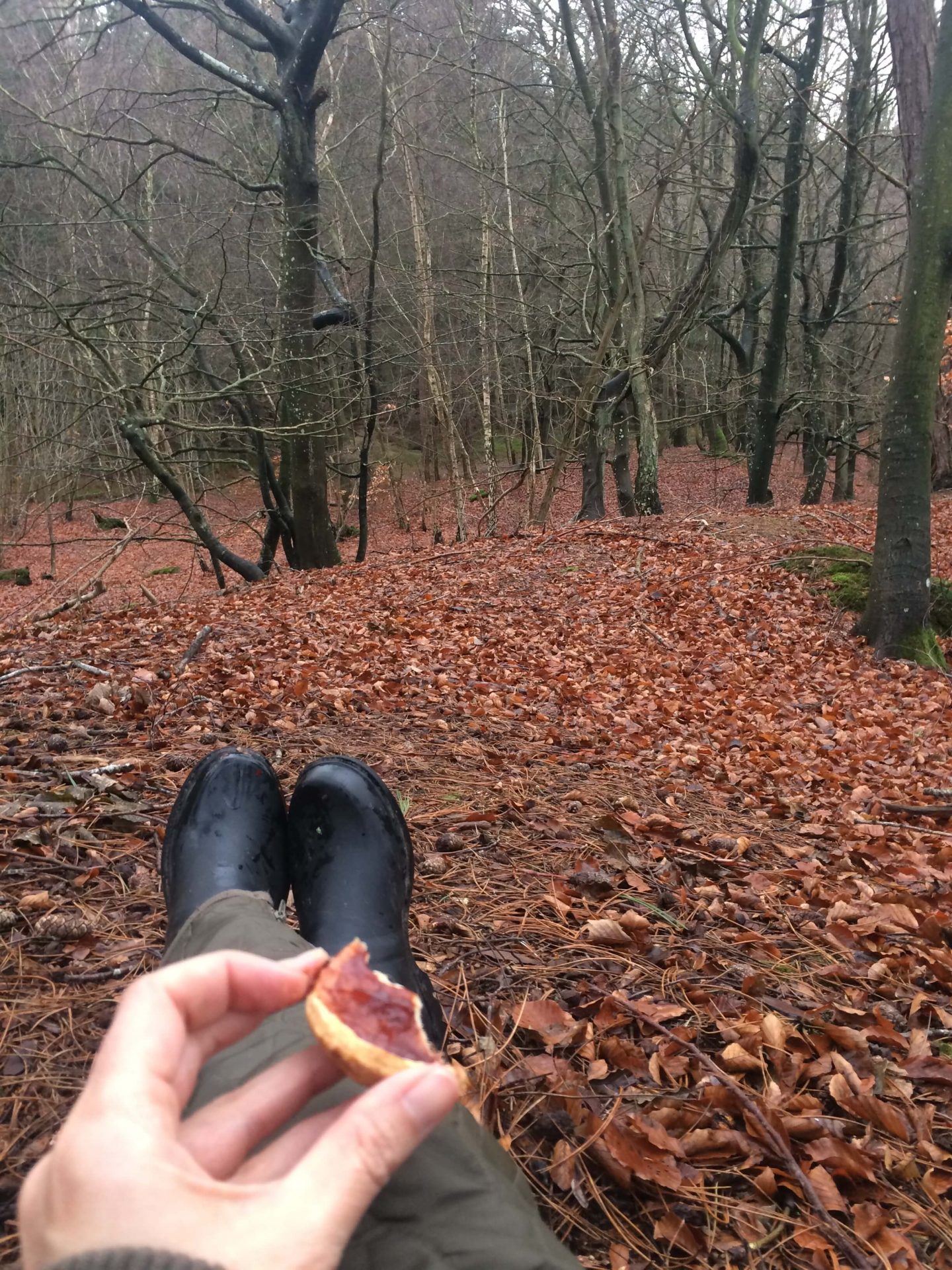 Nytår i skoven. Billede af Anja Dalby der sidder i skovbunden og spiser jam tarts.