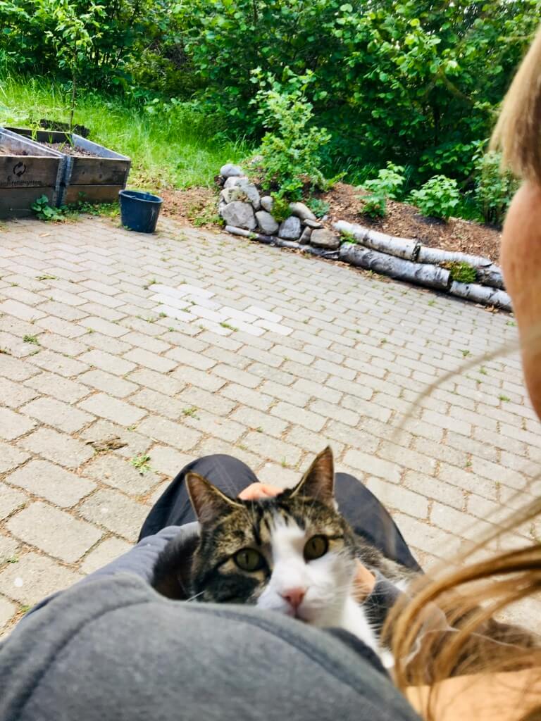 Anja Dalby: Hvad tør du? Anja sidder i en stol i haven med sin kat Jonna i favnen. Anja kigger ud i haven, mens Jonna kigger på fotografen.